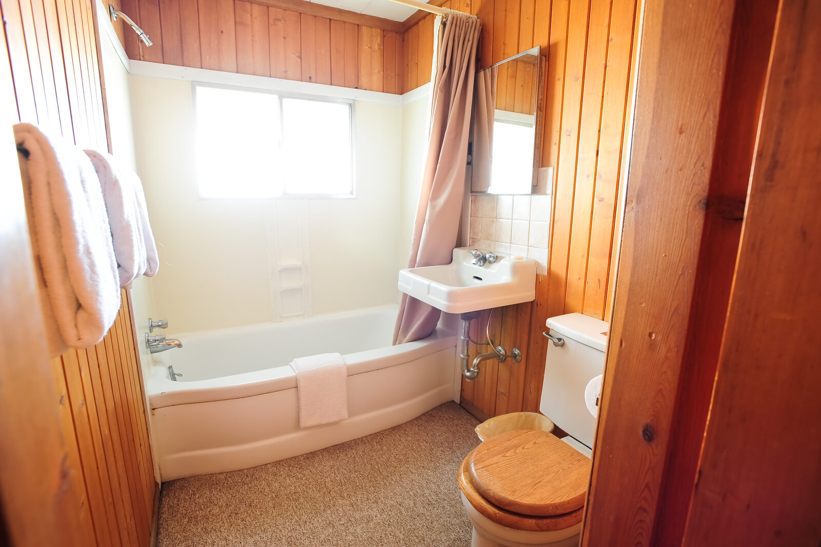 Larger 1BR Suite details